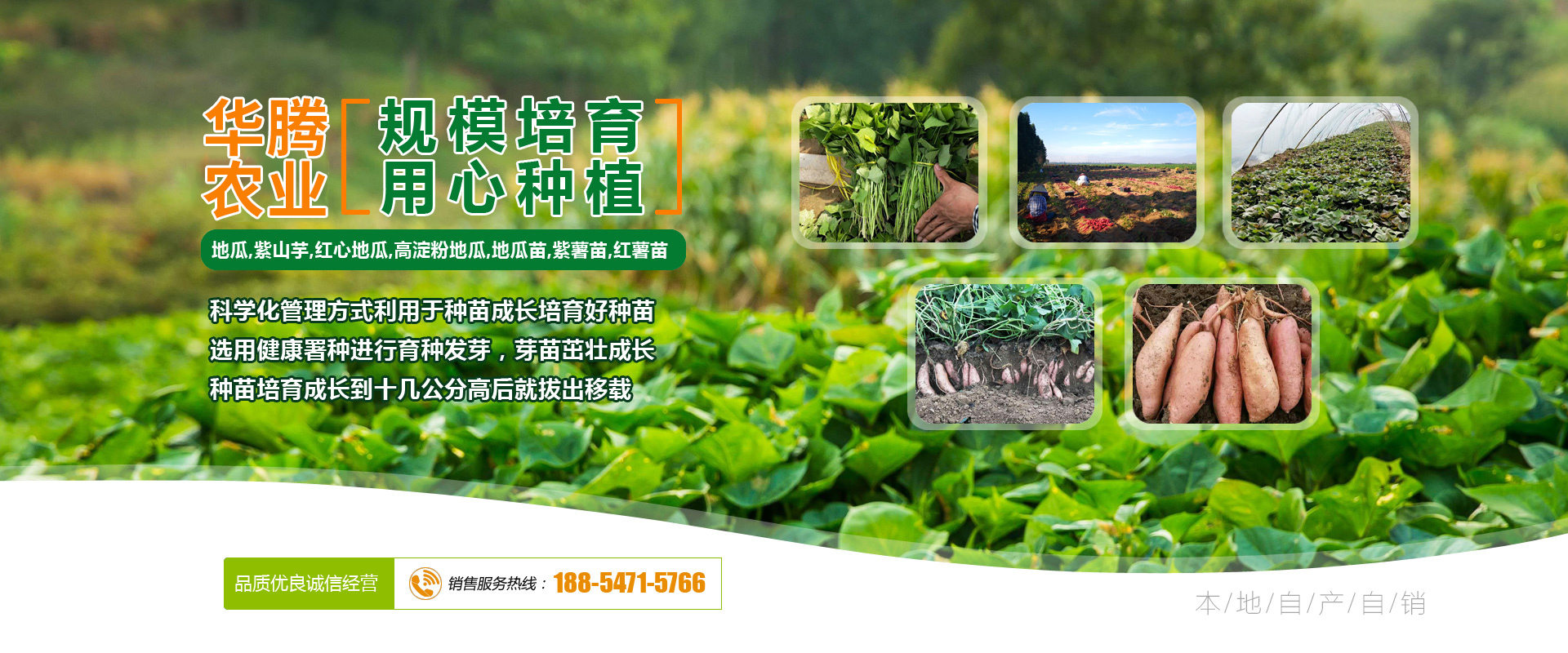 山東萊蕪新甫冠龍塑料機(jī)械有限公司